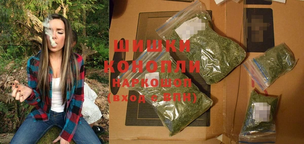 молекула духа Горняк