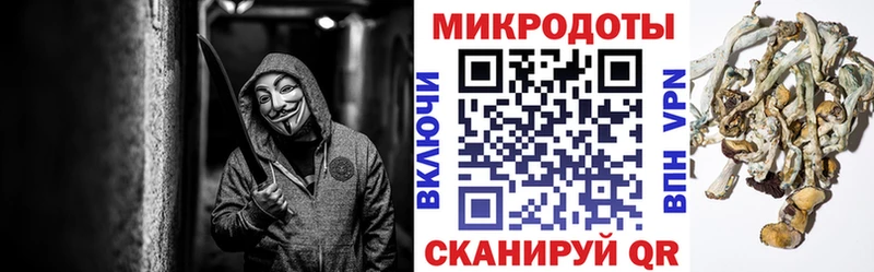 KRAKEN как войти Радужный Псилоцибиновые грибы мицелий наркошоп